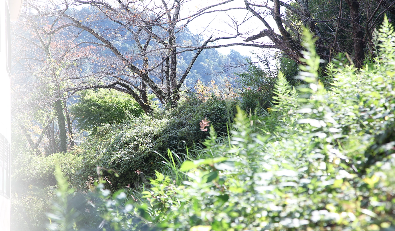 公式代表画像