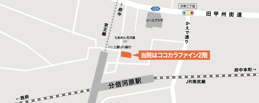 医療法人社団シンケルス ベルファミリークリニック の写真