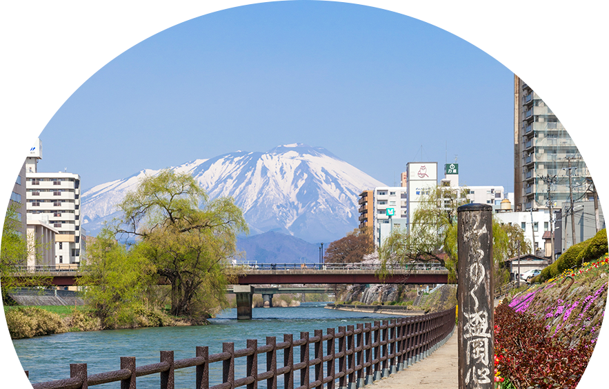 公式案内画像