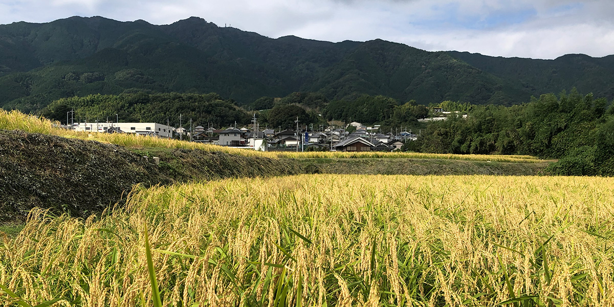 千代酒造 の写真