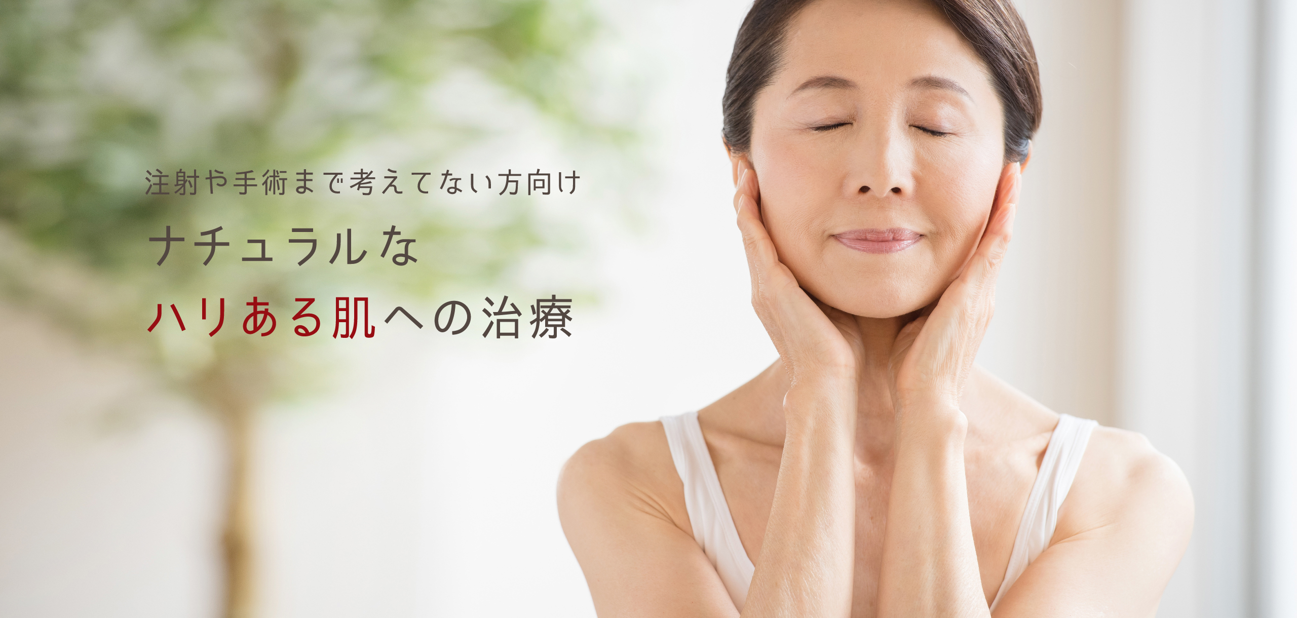 公式案内画像