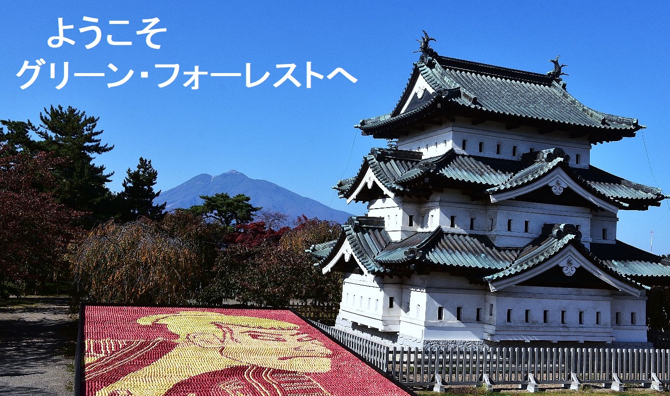 緑の森薬局　石川 の写真