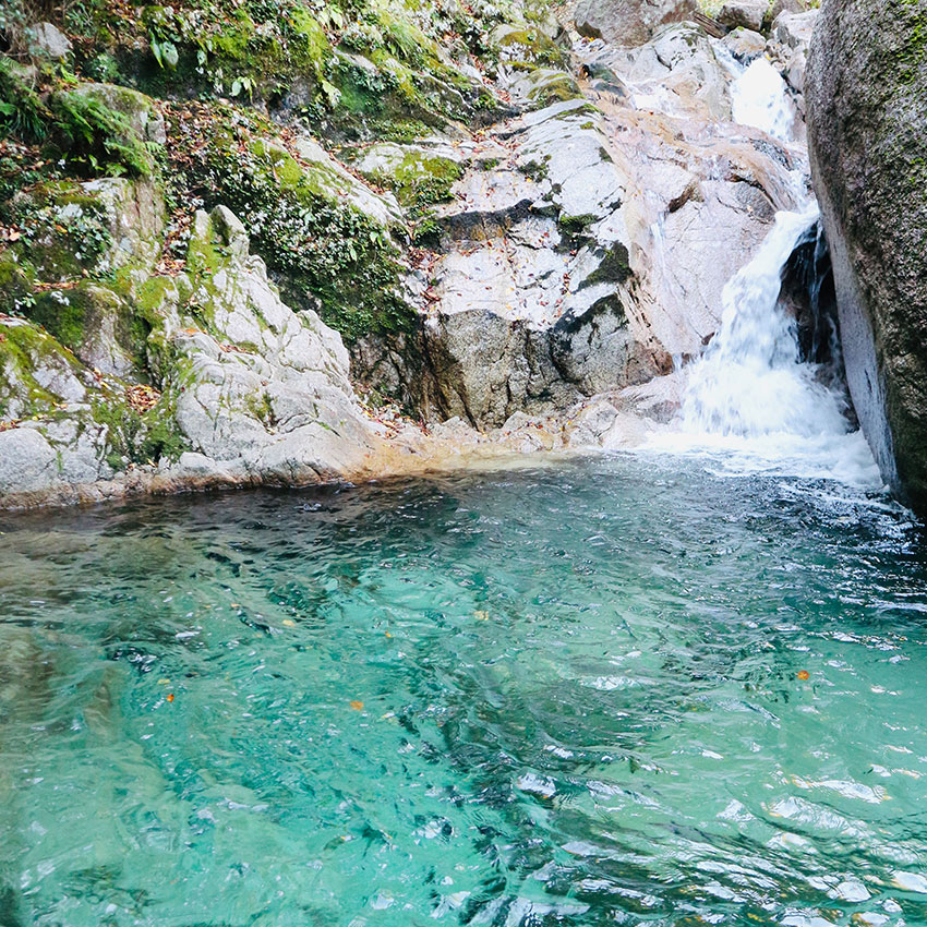 公式風土ページに掲載された仕込水の源となる清流