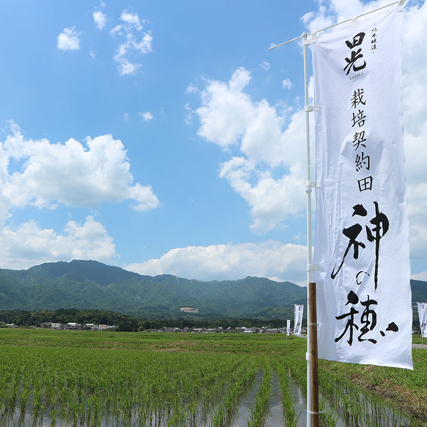 公式風土ページに掲載された「神の穂」契約栽培の水田