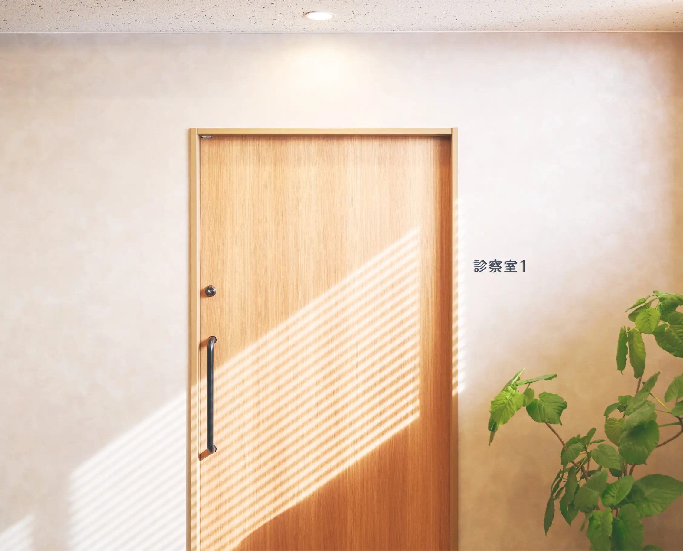 公式案内画像