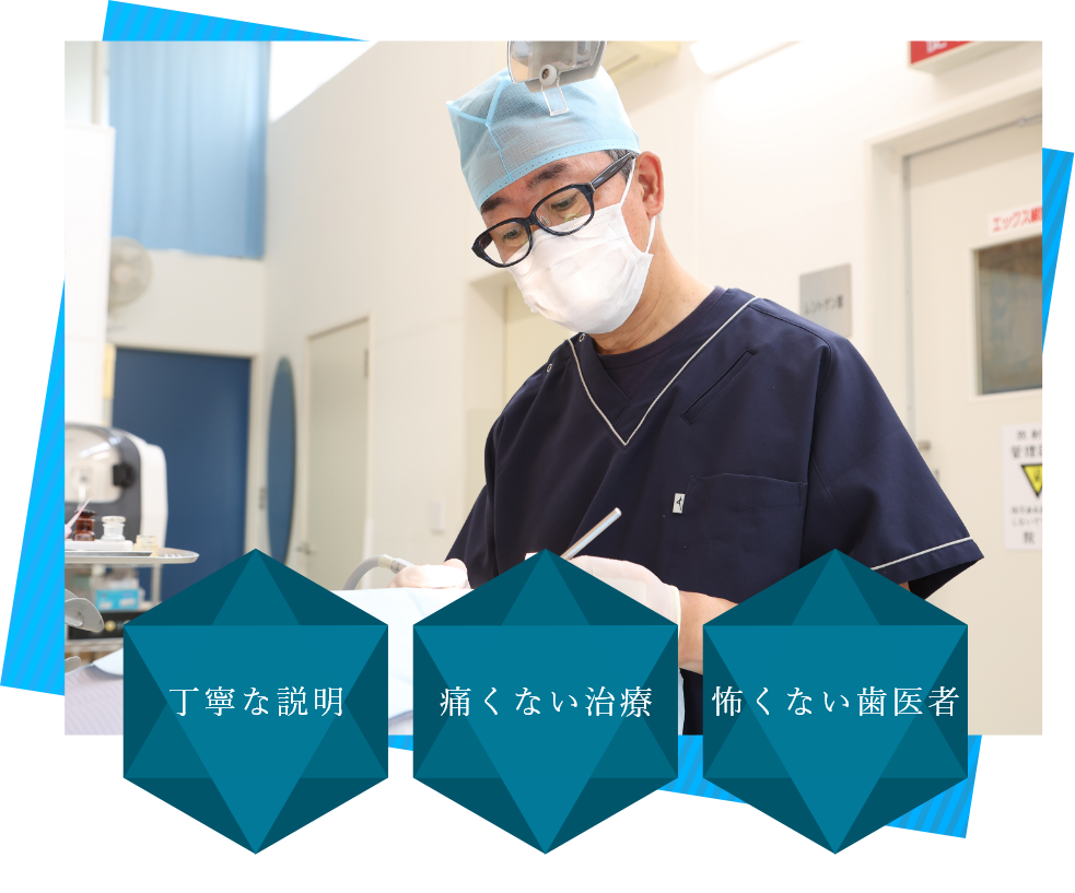 公式案内画像