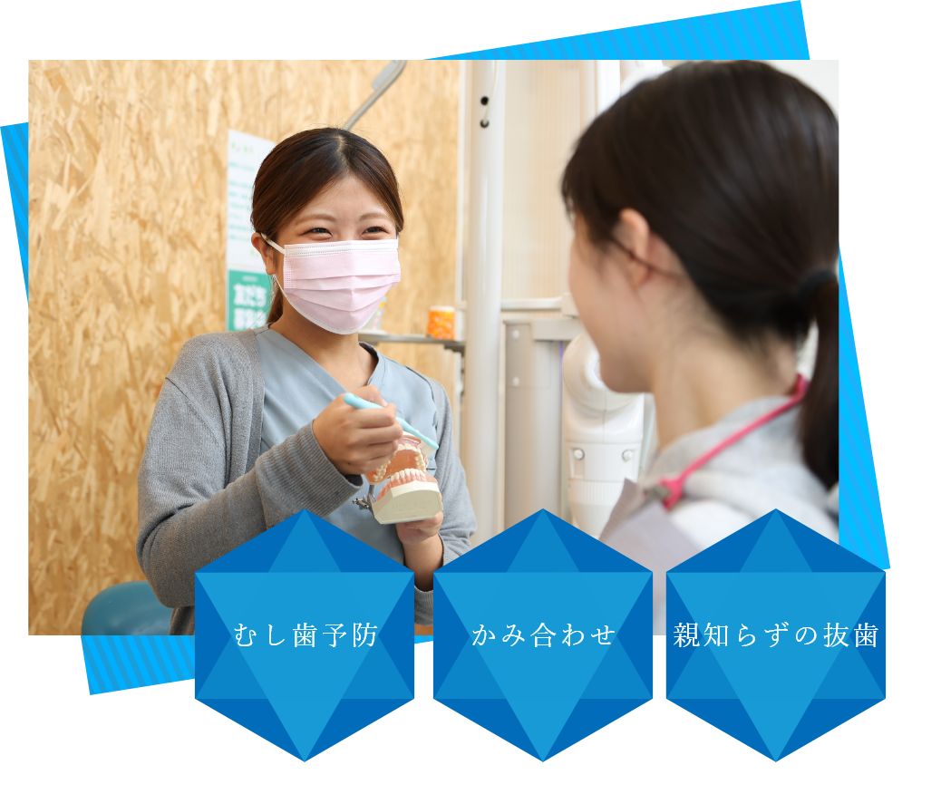 公式案内画像