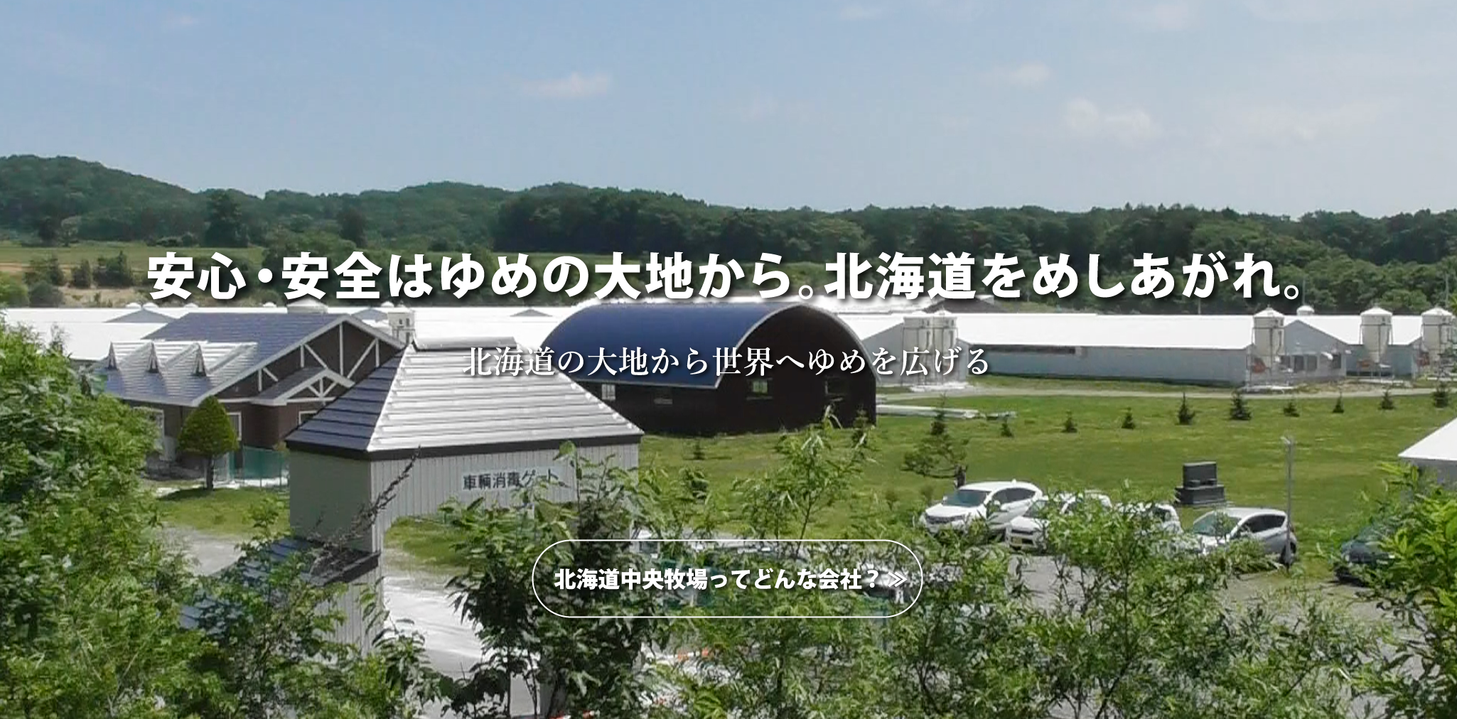 公式案内画像