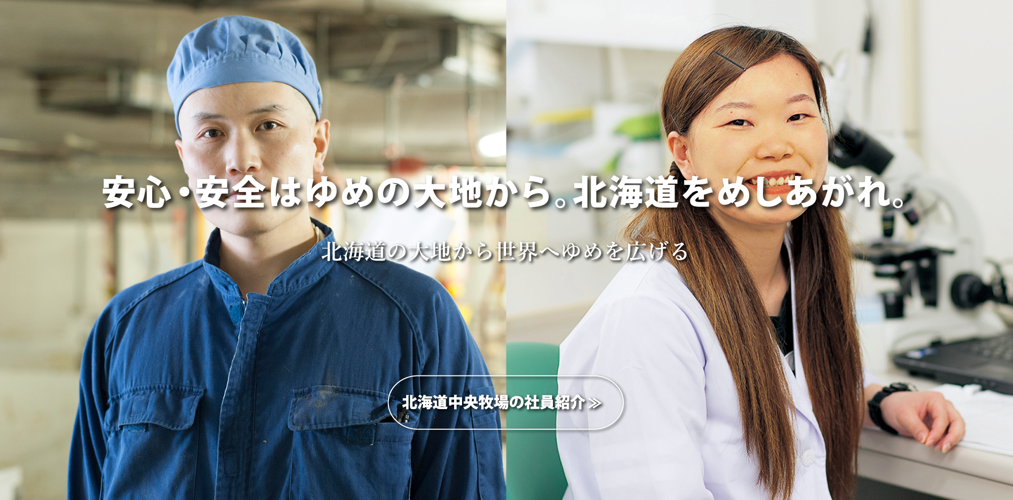 公式案内画像