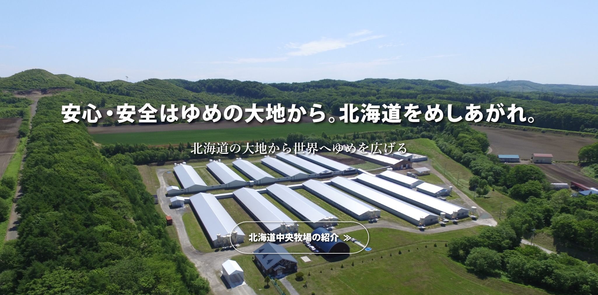 株式会社北海道中央牧場 の写真