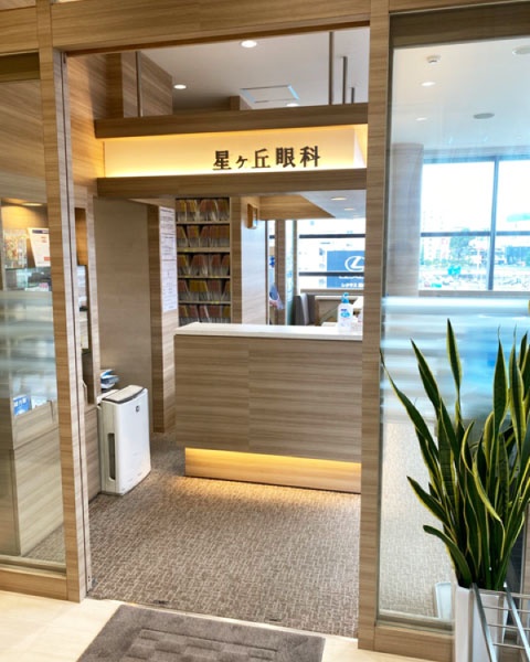 公式案内画像