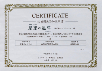 公式案内画像