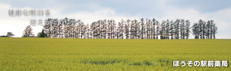 公式案内画像