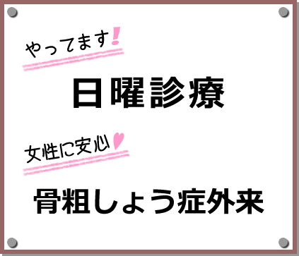 公式案内画像