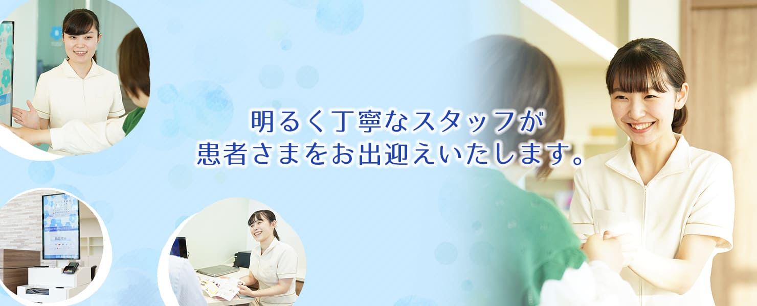 公式案内画像