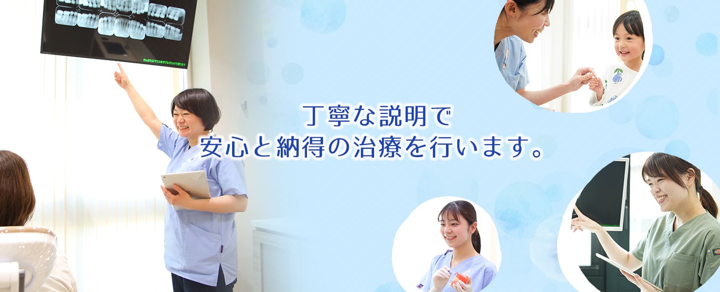 公式案内画像