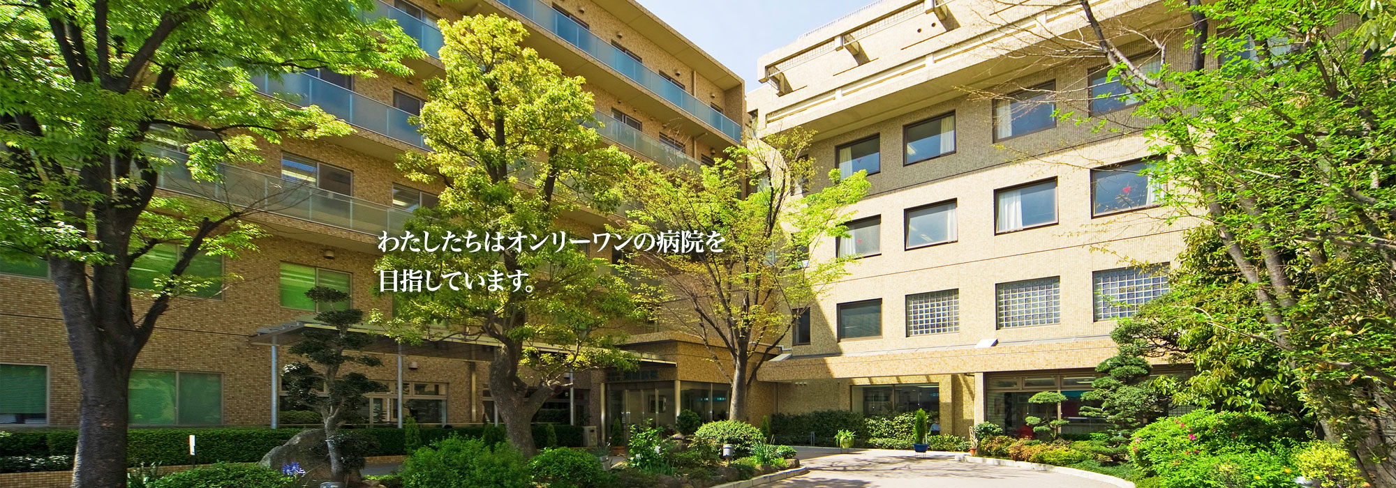 公式案内画像