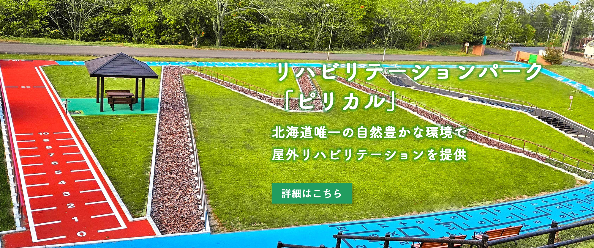 イムスリハビリテーションパーク（ピリカル）の代表画像。
