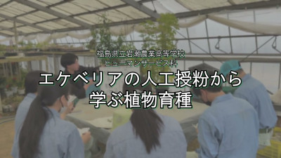 公式案内画像