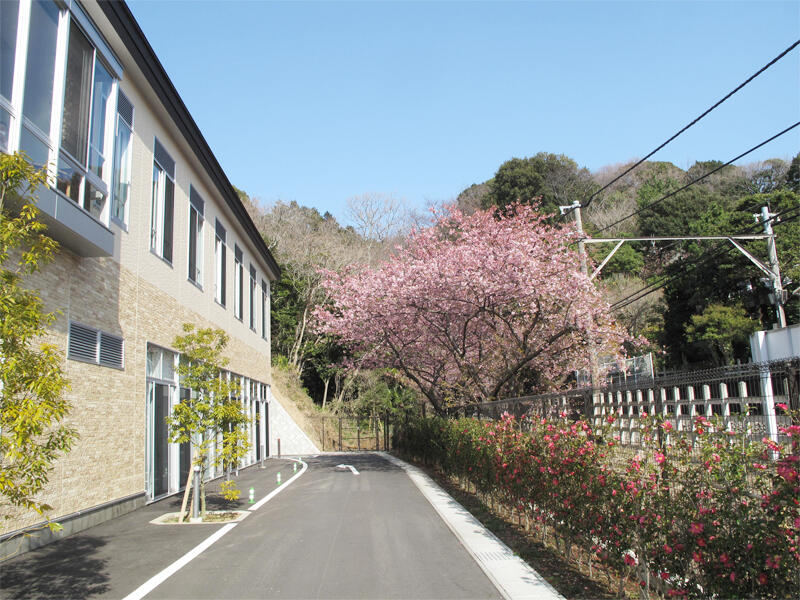 線路沿いの病院建物と桜
