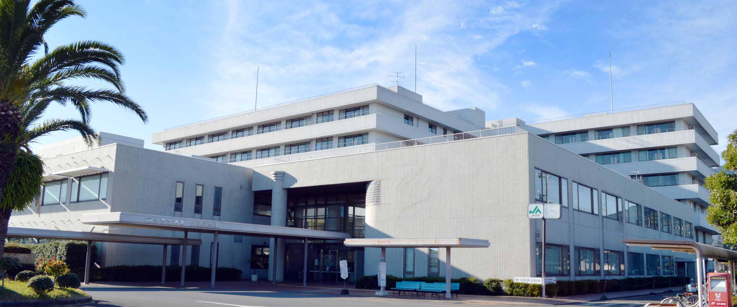 公式代表画像