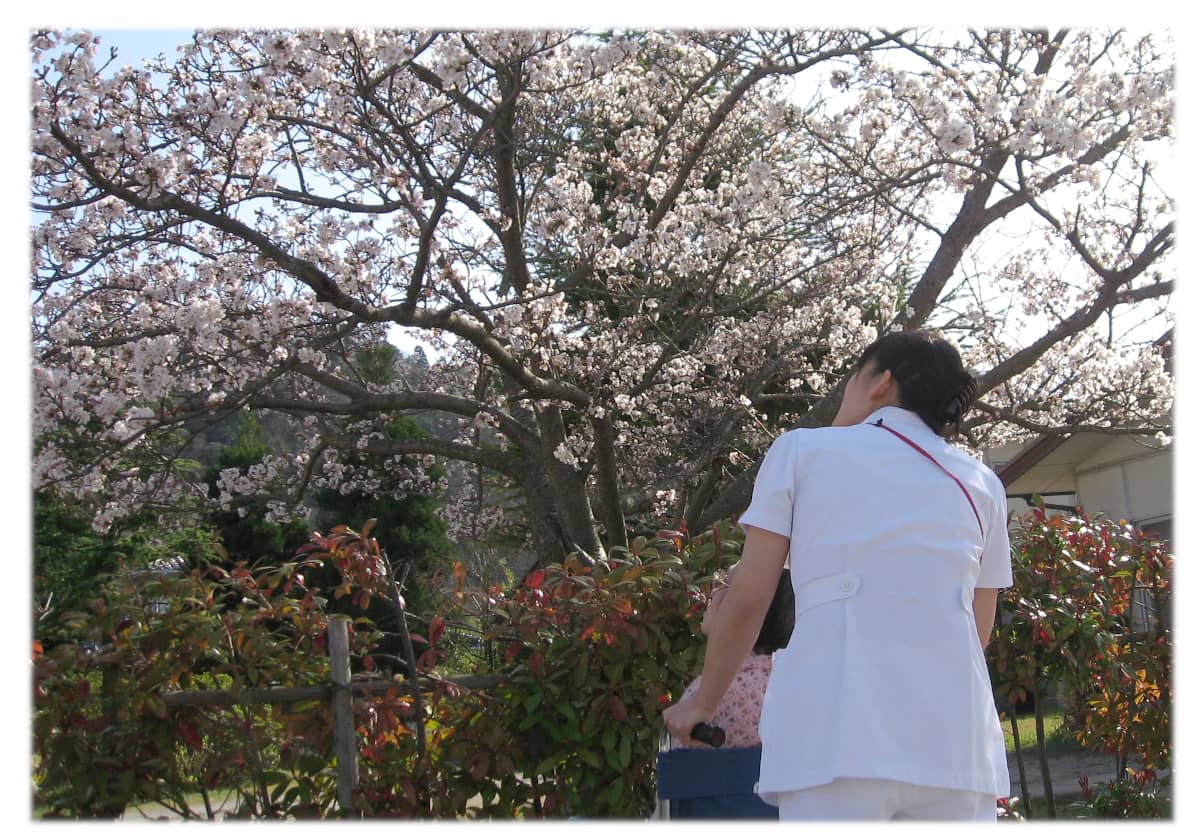 桜の下を歩く患者とスタッフ