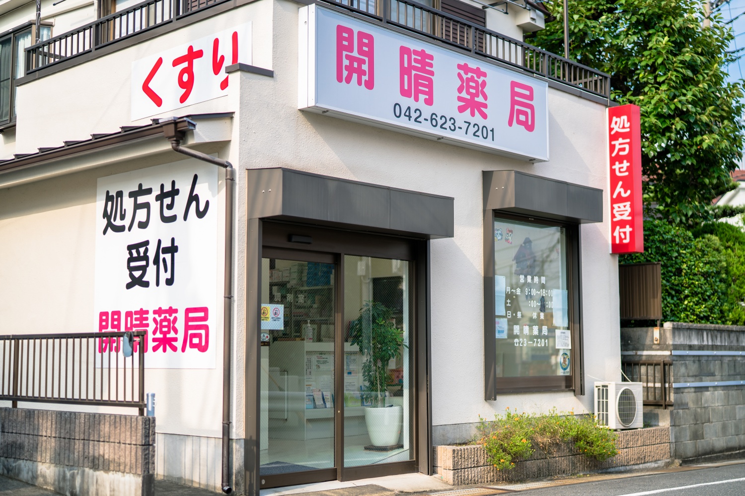 公式案内画像