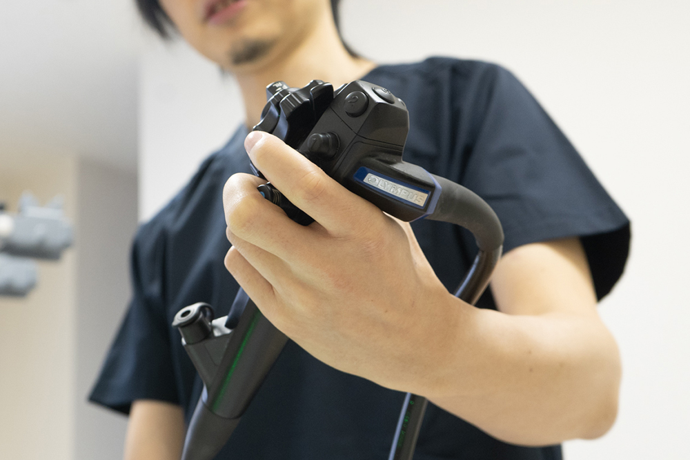 公式案内画像