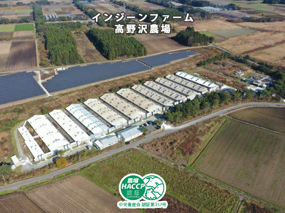 公式案内画像