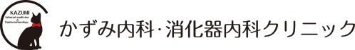 かずみ内科・消化器内科クリニック