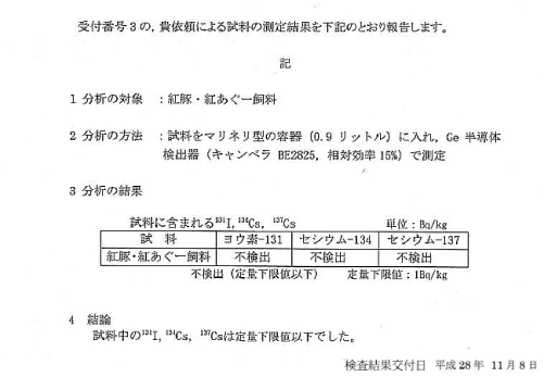 公式案内画像