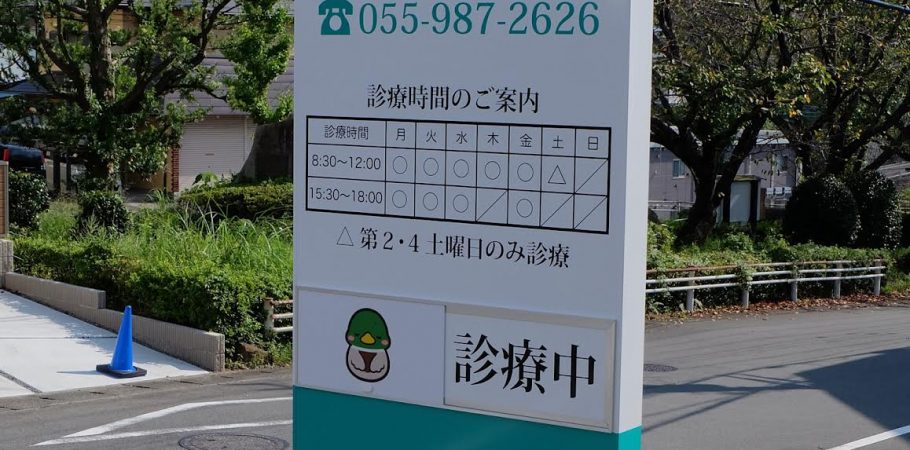 公式案内画像