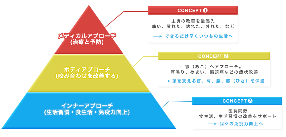 公式案内画像