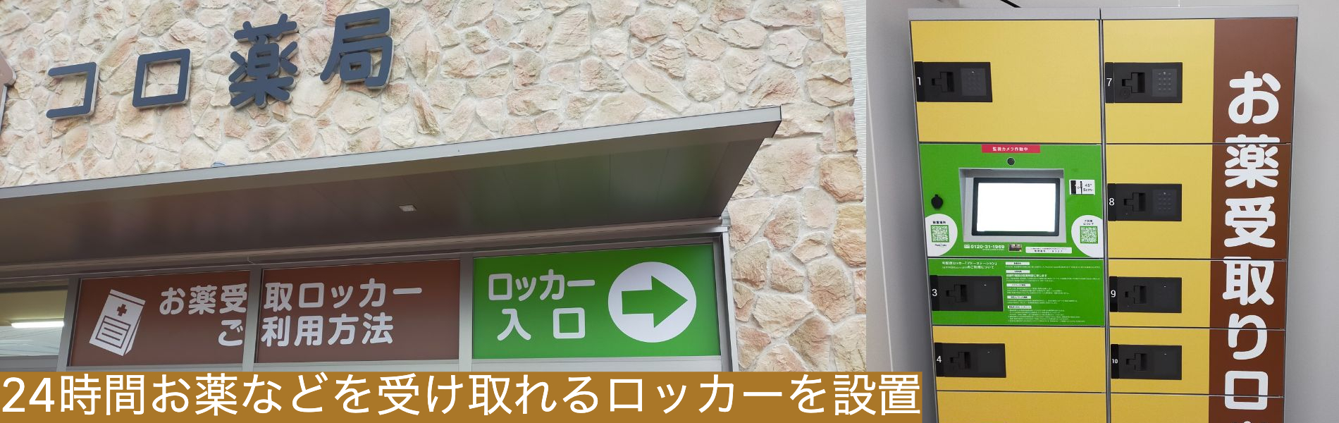 公式案内画像