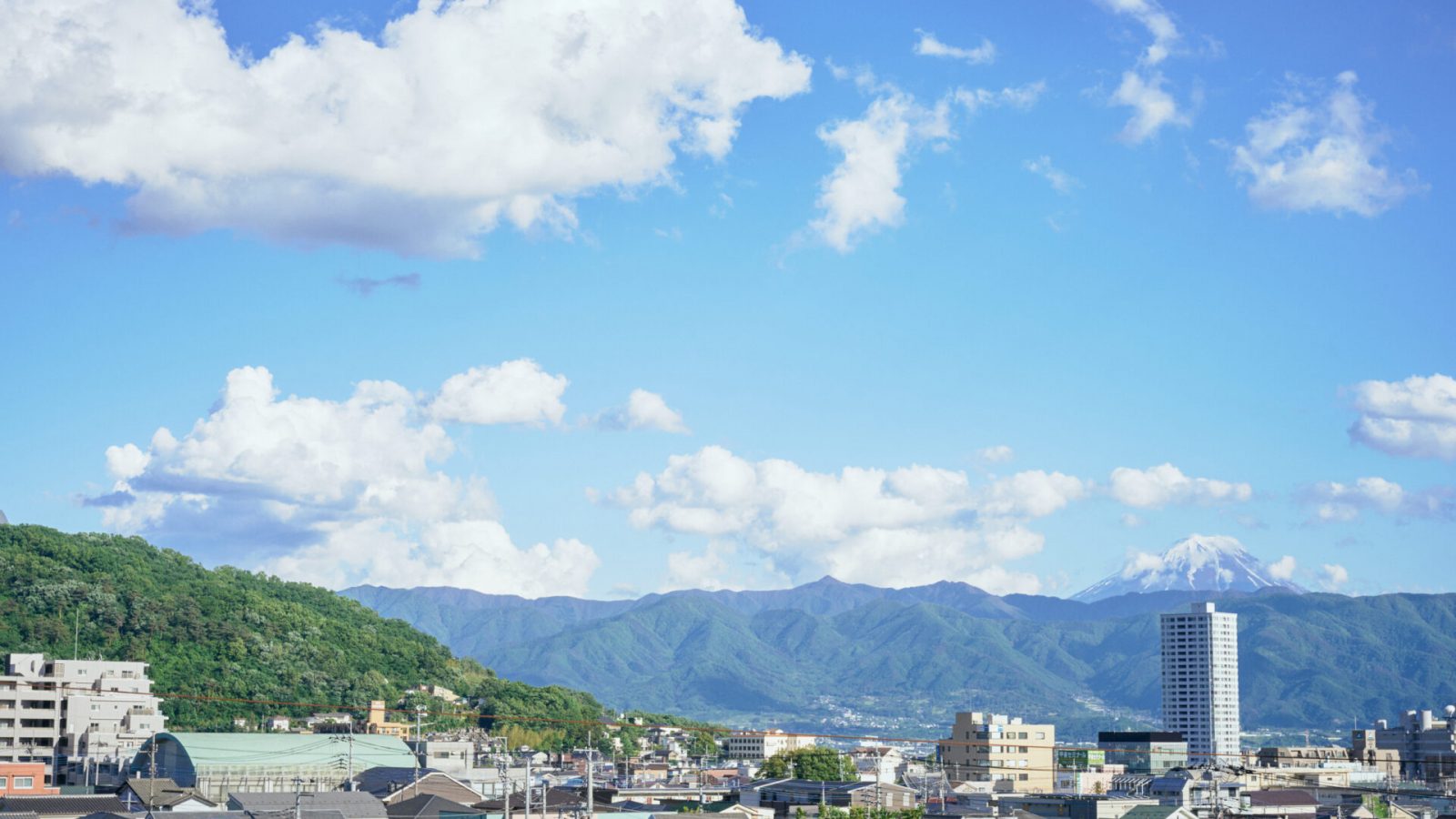 公式案内画像