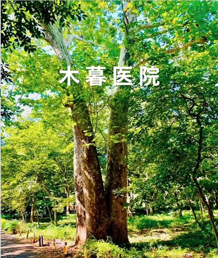 木暮医院 の写真