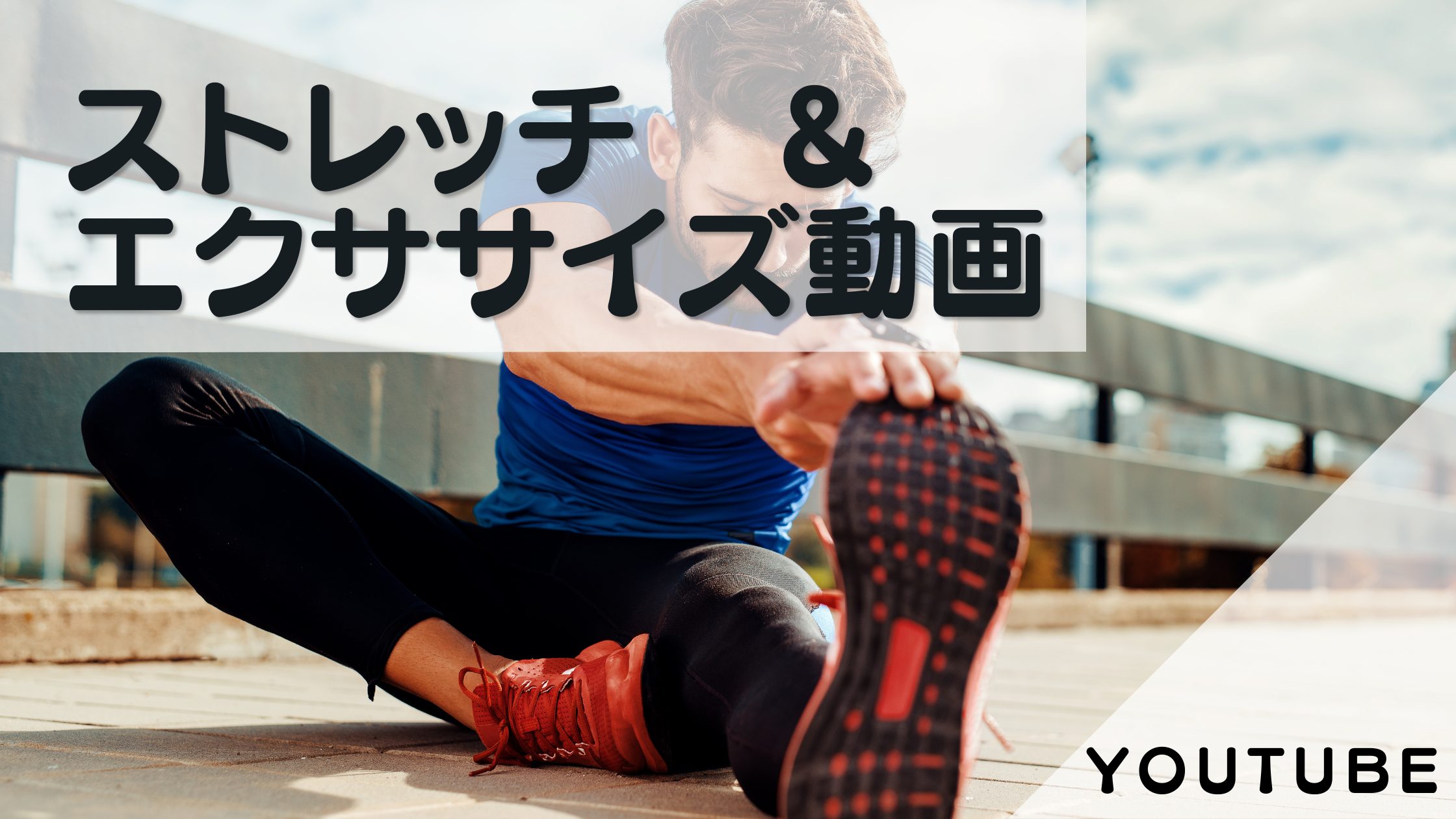 公式案内画像