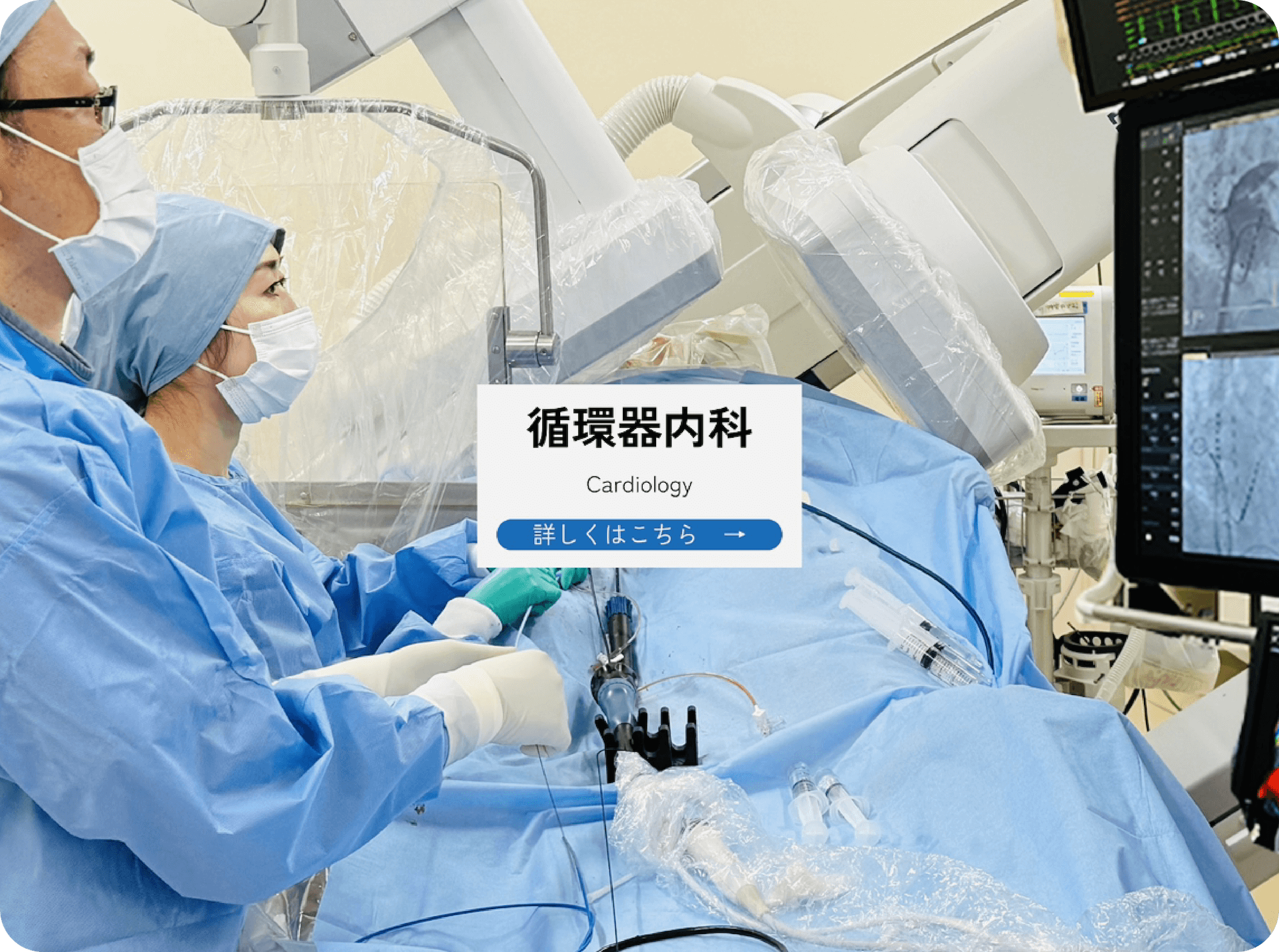 公式案内画像