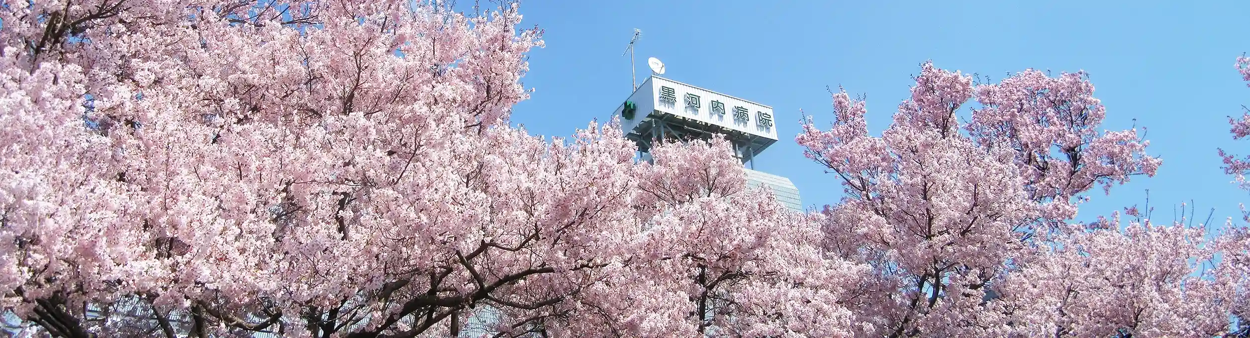 公式案内画像