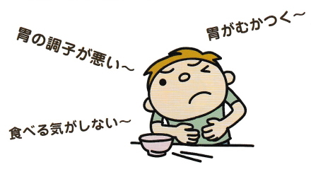 公式案内画像