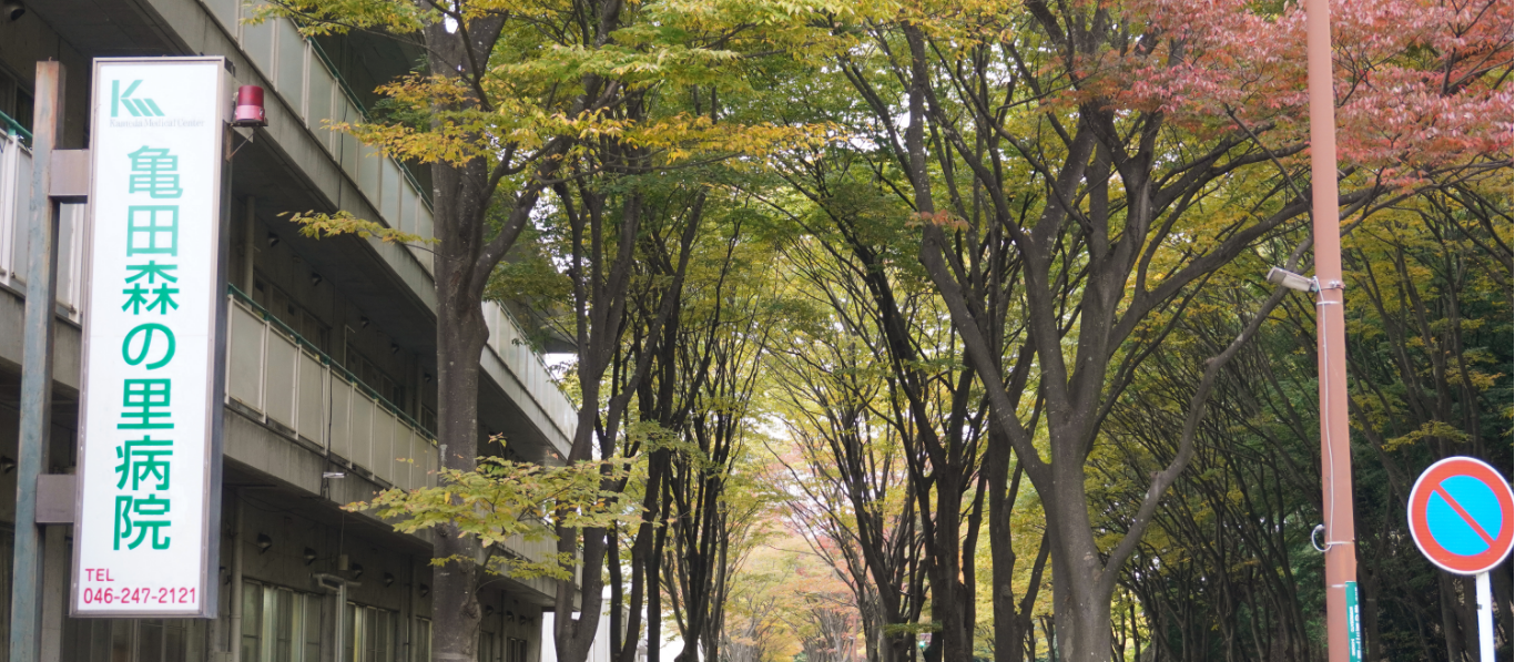 公式来院案内に掲載された病院名表示のある建物と緑の並木