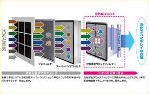公式案内画像
