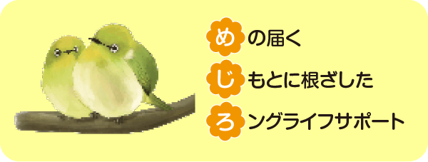 公式案内画像