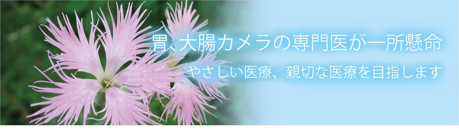 公式案内画像