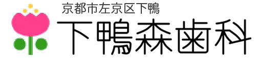 下鴨森歯科