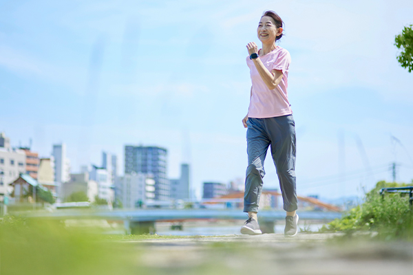 公式案内画像