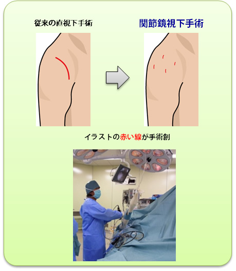 公式案内画像