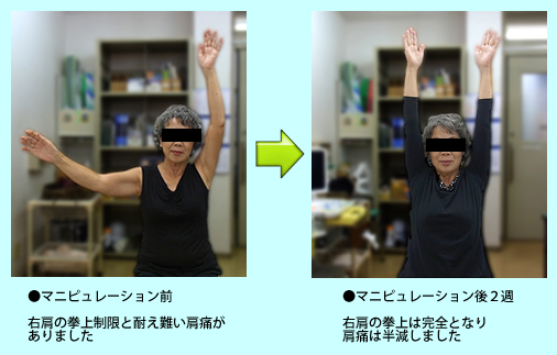 公式案内画像