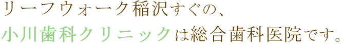 公式案内画像