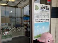 槇の木薬局
